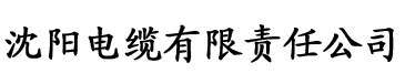 橙子TV 官方电缆厂logo